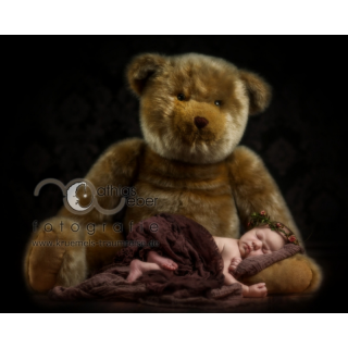 Babyfoto Kinderfoto Saar Pfalz Newborn Neugeborenes BÃ¤r Teddy