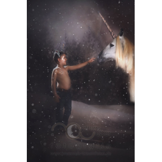 Babyfotografie Kinderfotografie Saar Pfalz Einhorn MÃ¤rchen Unicorn Fairytale Fantasie Fantasy