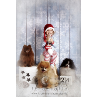 Babyfotografie Kinderfotografie Saar Pfalz Weihnachten Nikolaus Hunde Zwergspitz Pomeranian Schneefl